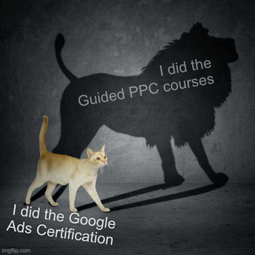 Google Ads Certification vs Guided PPC courses | I did the Guided PPC courses; I did the Google Ads Certification | image tagged in cat with lion shadow,google ads,funny,funny memes | made w/ Imgflip meme maker