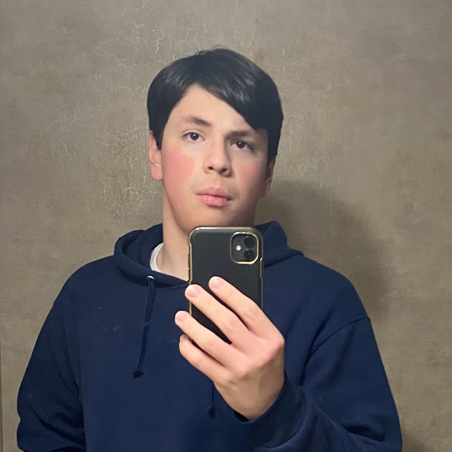 Mirror Selfie Handsome Blank Meme Template