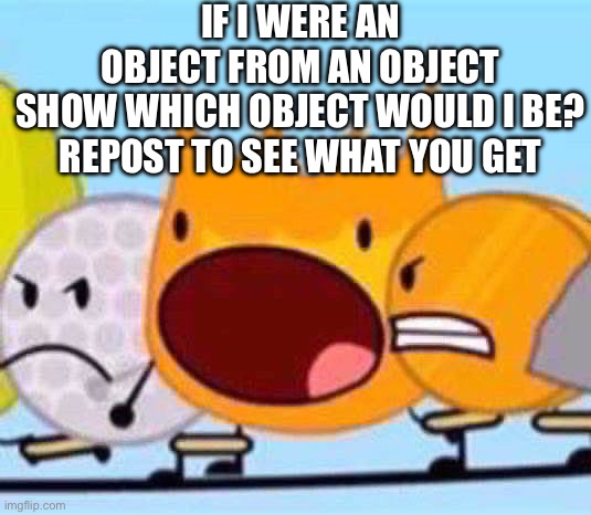 Open Mouth Firey | IF I WERE AN OBJECT FROM AN OBJECT SHOW WHICH OBJECT WOULD I BE?

REPOST TO SEE WHAT YOU GET | image tagged in open mouth firey | made w/ Imgflip meme maker