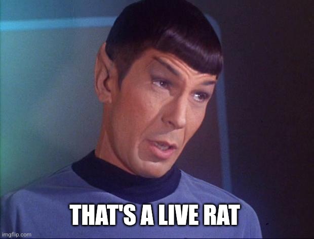Spock | THAT'S A LIVE RAT | image tagged in spock | made w/ Imgflip meme maker