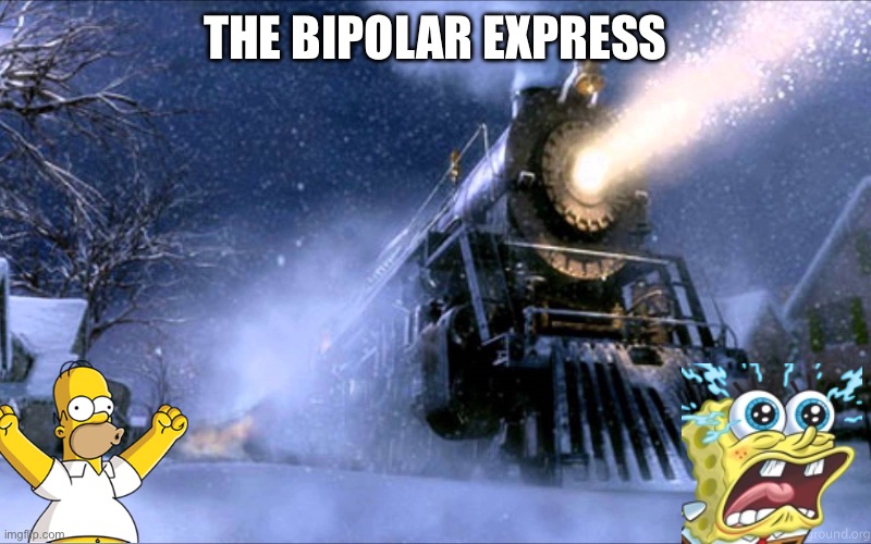 The Bipolar Express! | THE BIPOLAR EXPRESS | image tagged in polar express train,bipolar,excited,sad,anxiety,we're all doomed | made w/ Imgflip meme maker