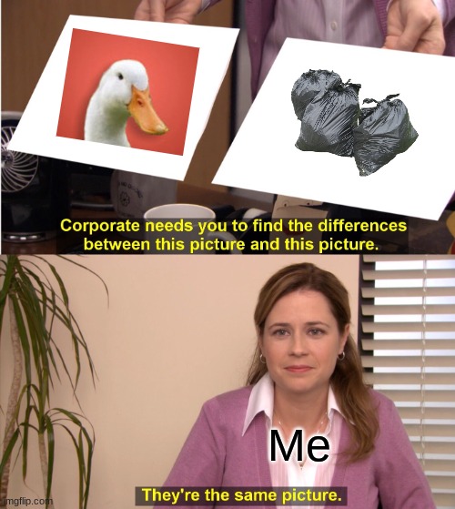They're The Same Picture | Me | image tagged in memes,they're the same picture,why are you reading the tags,stop reading the tags | made w/ Imgflip meme maker