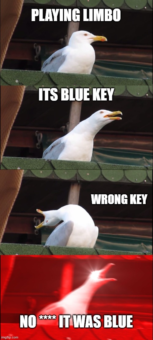 Inhaling Seagull | PLAYING LIMBO; ITS BLUE KEY; WRONG KEY; NO **** IT WAS BLUE | image tagged in memes,inhaling seagull | made w/ Imgflip meme maker