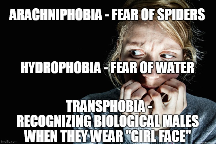 "A phobia is an uncontrollable, irrational, and lasting fear of a certain object, situation, or activity." | ARACHNIPHOBIA - FEAR OF SPIDERS; HYDROPHOBIA - FEAR OF WATER; TRANSPHOBIA - RECOGNIZING BIOLOGICAL MALES WHEN THEY WEAR "GIRL FACE" | image tagged in fear,phobia,transphobic,liberal hypocrisy | made w/ Imgflip meme maker