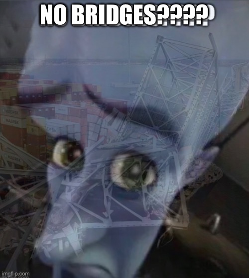 A little late to this but whatevs | NO BRIDGES???? | made w/ Imgflip meme maker