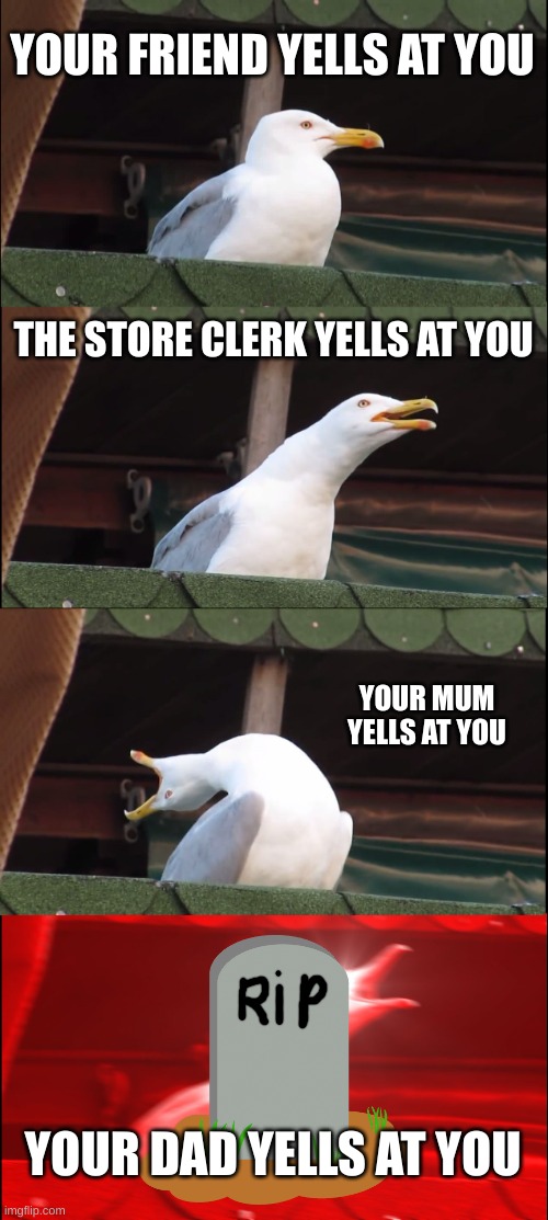 certain death | YOUR FRIEND YELLS AT YOU; THE STORE CLERK YELLS AT YOU; YOUR MUM YELLS AT YOU; YOUR DAD YELLS AT YOU | image tagged in memes,inhaling seagull | made w/ Imgflip meme maker