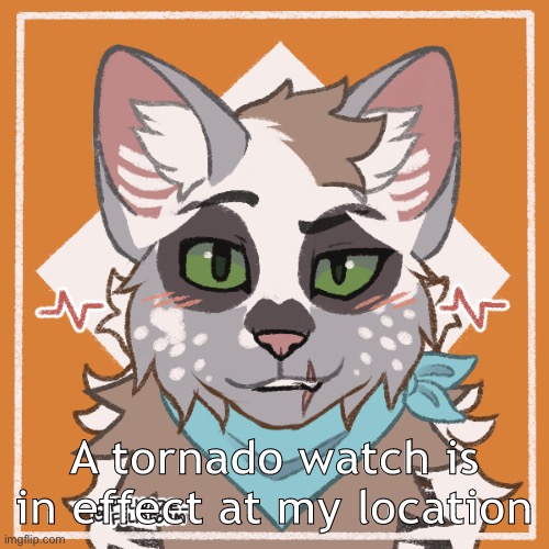 A tornado watch is in effect at my location | made w/ Imgflip meme maker