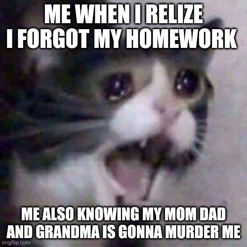 Me when I forget homework | ME WHEN I RELIZE I FORGOT MY HOMEWORK; ME ALSO KNOWING MY MOM DAD AND GRANDMA IS GONNA MURDER ME | image tagged in screaming cat meme | made w/ Imgflip meme maker