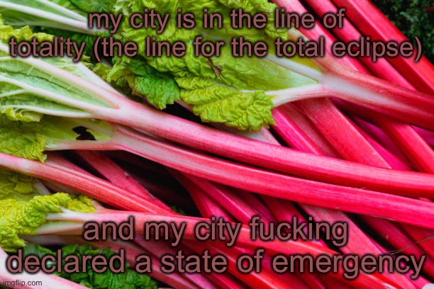 rhubarb | my city is in the line of totality (the line for the total eclipse); and my city fucking declared a state of emergency | image tagged in rhubarb | made w/ Imgflip meme maker