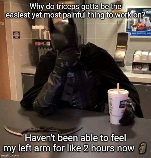I only do like x80 70 lbs tricep press, its not that much. Hurts more than being kicked in the balls for some reason | Why do triceps gotta be the easiest yet most painful thing to work on? Haven't been able to feel my left arm for like 2 hours now 🗿 | image tagged in batman facepalm | made w/ Imgflip meme maker