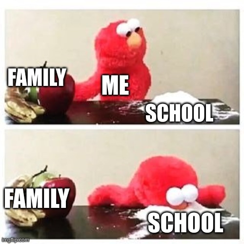 elmo cocaine | FAMILY; ME; SCHOOL; FAMILY; SCHOOL | image tagged in elmo cocaine | made w/ Imgflip meme maker