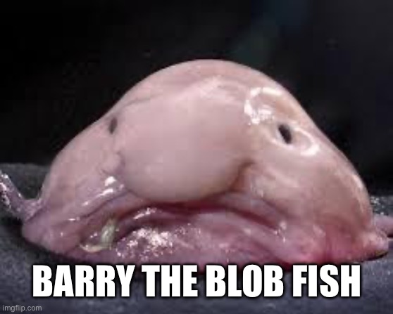 Barry | BARRY THE BLOB FISH | image tagged in blob fish | made w/ Imgflip meme maker