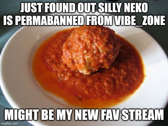 Meatball | JUST FOUND OUT SILLY NEKO IS PERMABANNED FROM VIBE_ZONE; MIGHT BE MY NEW FAV STREAM | image tagged in meatball | made w/ Imgflip meme maker