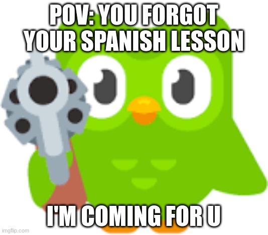 DUOLINGO BE LIKE | POV: YOU FORGOT YOUR SPANISH LESSON; I'M COMING FOR U | image tagged in duolingo,spanish,guns,pov,dead,toast | made w/ Imgflip meme maker
