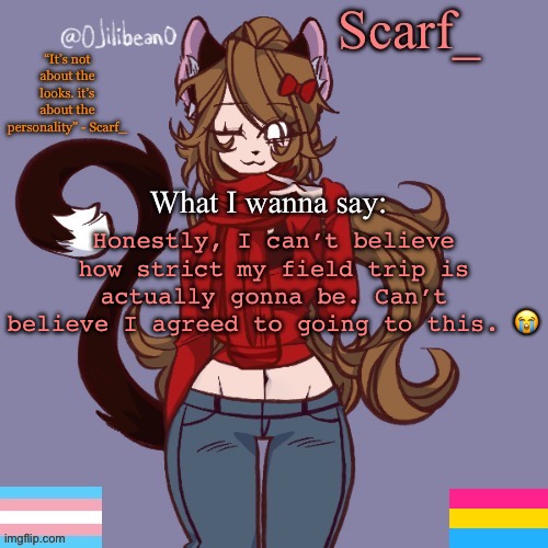 Scarf_ Announcement Template | Honestly, I can’t believe how strict my field trip is actually gonna be. Can’t believe I agreed to going to this. 😭 | image tagged in scarf_ announcement template | made w/ Imgflip meme maker
