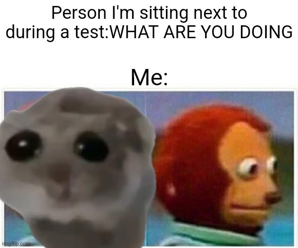 Me during a test | Person I'm sitting next to during a test:WHAT ARE YOU DOING; Me: | image tagged in memes,monkey puppet | made w/ Imgflip meme maker