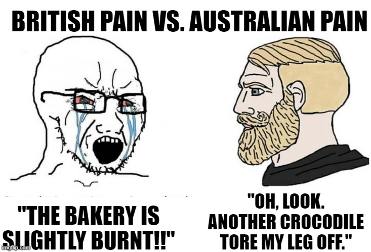 Not trying to offend anyone, but us Aussies can be a bit wild when it comes to things | BRITISH PAIN VS. AUSTRALIAN PAIN; "OH, LOOK. ANOTHER CROCODILE TORE MY LEG OFF."; "THE BAKERY IS SLIGHTLY BURNT!!" | image tagged in soyboy vs yes chad,australians,british,memes,pain | made w/ Imgflip meme maker