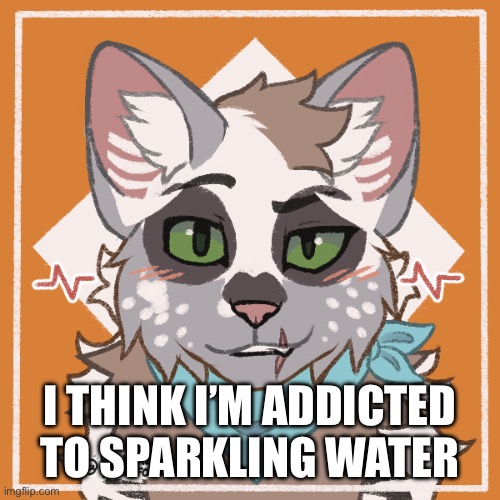 I love Lacroix | I THINK I’M ADDICTED TO SPARKLING WATER | made w/ Imgflip meme maker