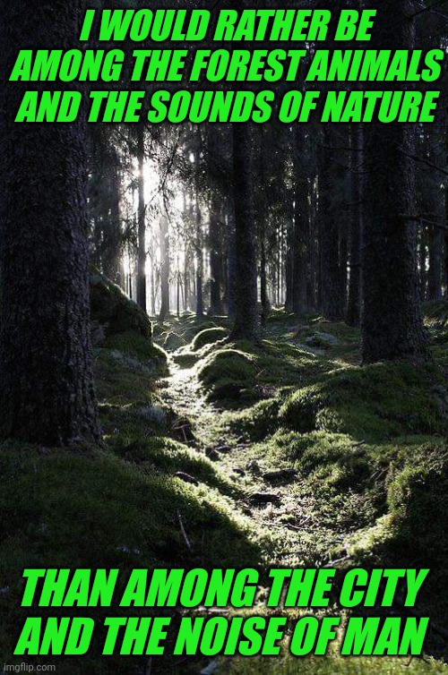NATURE IS MUCH BETTER THAN CITY | I WOULD RATHER BE AMONG THE FOREST ANIMALS AND THE SOUNDS OF NATURE; THAN AMONG THE CITY AND THE NOISE OF MAN | image tagged in nature,forest,woods,city | made w/ Imgflip meme maker
