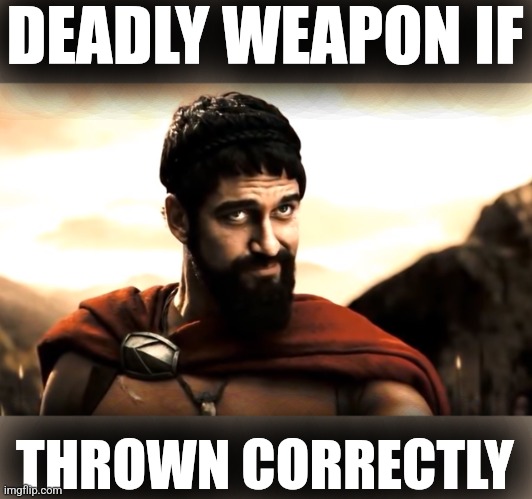 Leonidas 300 | DEADLY WEAPON IF THROWN CORRECTLY | image tagged in leonidas 300 | made w/ Imgflip meme maker