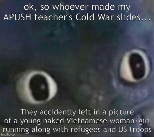 what's my education system even doing?! | ok, so whoever made my APUSH teacher's Cold War slides... They accidently left in a picture of a young naked Vietnamese woman/girl running along with refugees and US troops | image tagged in toothless shocked | made w/ Imgflip meme maker