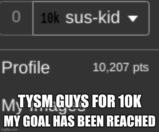TYSM guys | TYSM GUYS FOR 10K; MY GOAL HAS BEEN REACHED | image tagged in tysm,for,10k | made w/ Imgflip meme maker