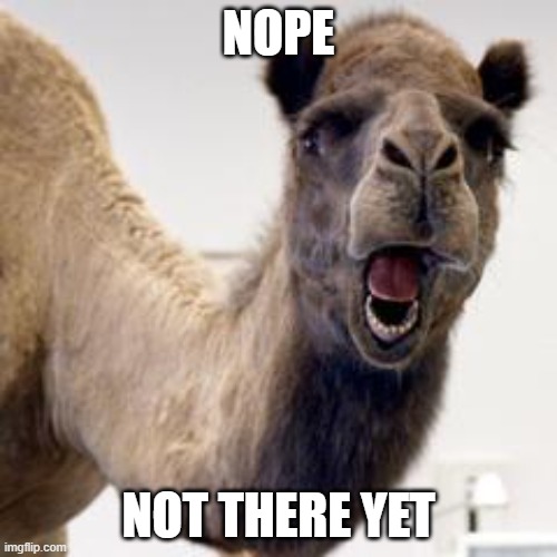 Camel | NOPE; NOT THERE YET | image tagged in camel | made w/ Imgflip meme maker