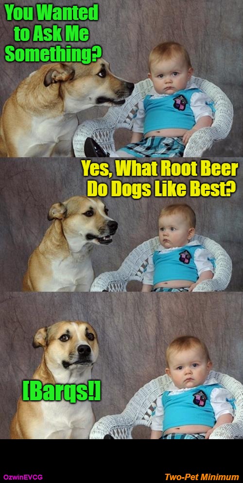 Two-Pet Minimum | You Wanted 

to Ask Me 

Something? Yes, What Root Beer 

Do Dogs Like Best? [Barqs!]; Two-Pet Minimum; OzwinEVCG | image tagged in dad joke dog,dogs,drinks,babies,puns,no dad sighted | made w/ Imgflip meme maker