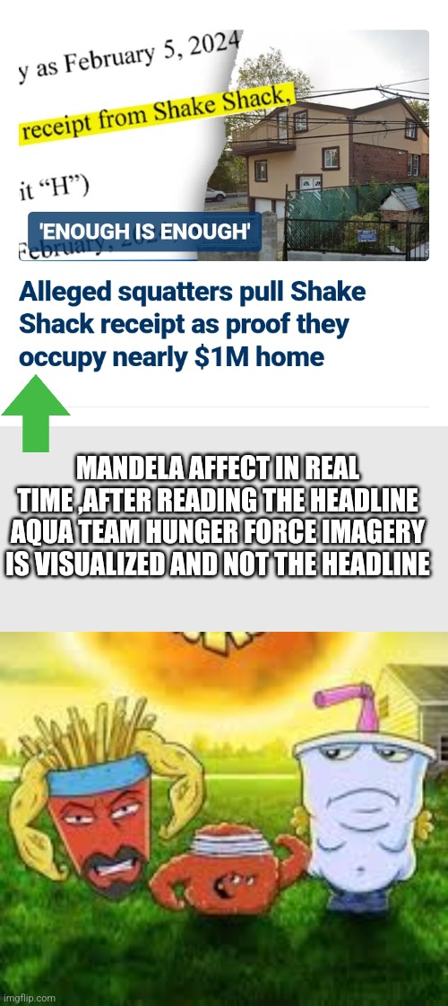 Squatters rights | MANDELA AFFECT IN REAL TIME ,AFTER READING THE HEADLINE AQUA TEAM HUNGER FORCE IMAGERY IS VISUALIZED AND NOT THE HEADLINE | image tagged in aquaman,fake news,aquateam | made w/ Imgflip meme maker