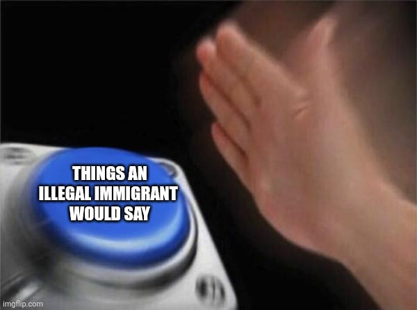 Blank Nut Button Meme | THINGS AN ILLEGAL IMMIGRANT 
WOULD SAY | image tagged in memes,blank nut button | made w/ Imgflip meme maker