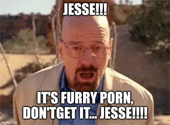 Walter White | JESSE!!! IT'S FURRY PORN, DON'TGET IT... JESSE!!!! | image tagged in walter white | made w/ Imgflip meme maker