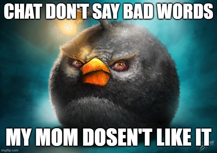 Realistic Bomb Angry Bird | CHAT DON'T SAY BAD WORDS; MY MOM DOSEN'T LIKE IT | image tagged in realistic bomb angry bird | made w/ Imgflip meme maker