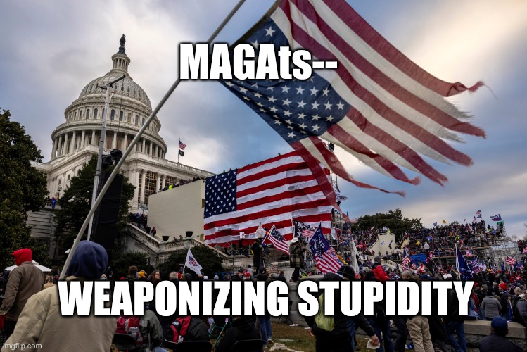 weaponizing stupidity | MAGAts--; WEAPONIZING STUPIDITY | image tagged in maga,magat,trump | made w/ Imgflip meme maker