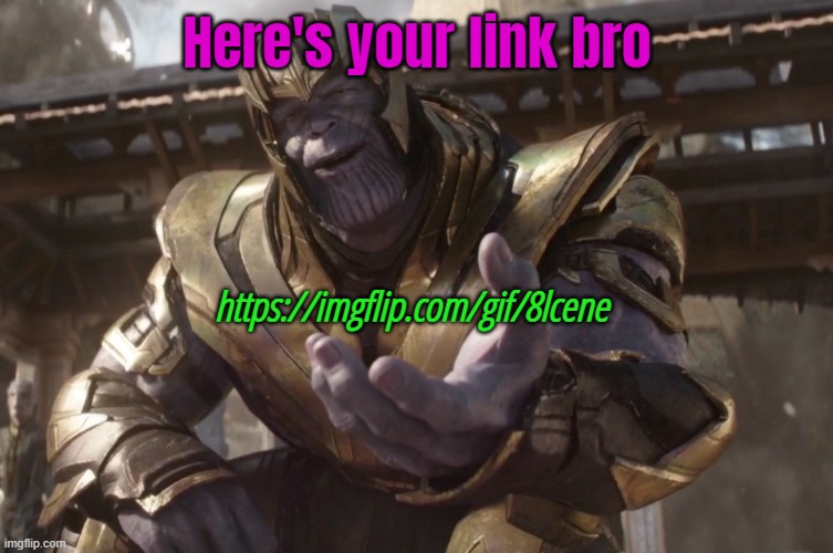 Here You Go | Here's your link bro; https://imgflip.com/gif/8lcene | image tagged in here you go | made w/ Imgflip meme maker