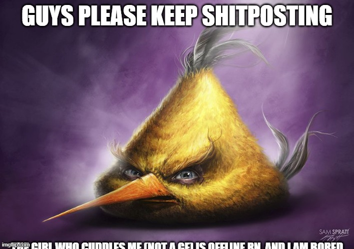 Realistic yellow angry bird | GUYS PLEASE KEEP SHITPOSTING; THE GIRL WHO CUDDLES ME (NOT A GF) IS OFFLINE RN, AND I AM BORED | image tagged in realistic yellow angry bird | made w/ Imgflip meme maker