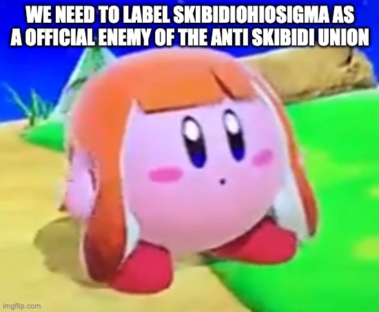 (mod note:no shit) | WE NEED TO LABEL SKIBIDIOHIOSIGMA AS A OFFICIAL ENEMY OF THE ANTI SKIBIDI UNION | image tagged in inkling kirby | made w/ Imgflip meme maker