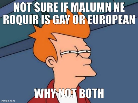 Futurama Fry | NOT SURE IF MALUMN NE ROQUIR IS GAY OR EUROPEAN; WHY NOT BOTH | image tagged in memes,futurama fry | made w/ Imgflip meme maker