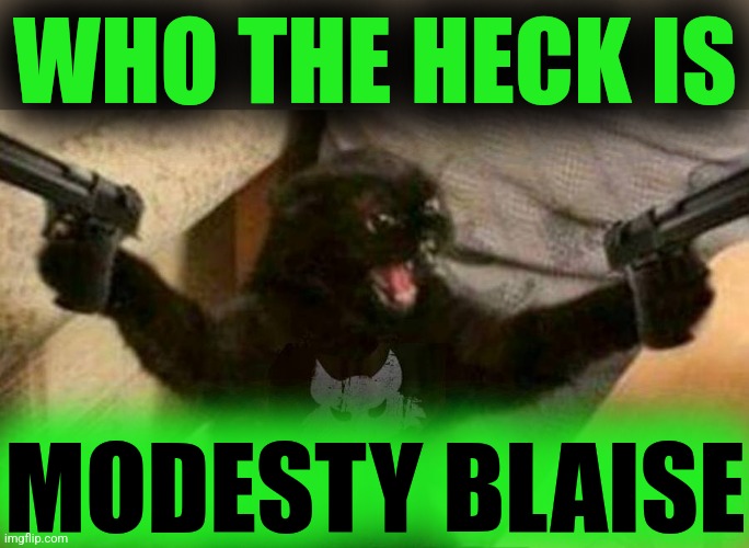 Cat With Guns | WHO THE HECK IS MODESTY BLAISE | image tagged in cat with guns | made w/ Imgflip meme maker