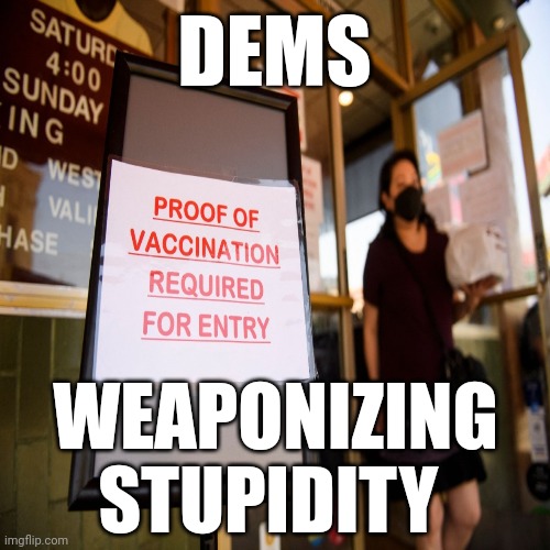 DEMS WEAPONIZING STUPIDITY | made w/ Imgflip meme maker