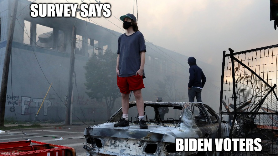 Mostly peaceful protestors | SURVEY SAYS; BIDEN VOTERS | image tagged in democrats,liberals,woke,social justice warrior,dimwits,leftists | made w/ Imgflip meme maker