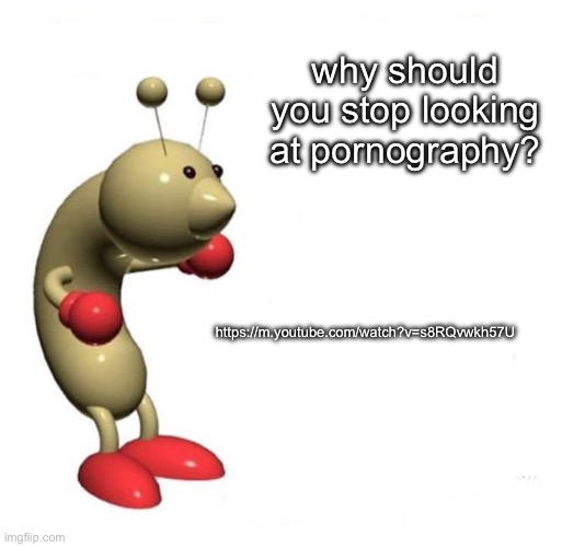 ight im done for the night | why should you stop looking at pornography? https://m.youtube.com/watch?v=s8RQvwkh57U | image tagged in cool bug facts | made w/ Imgflip meme maker