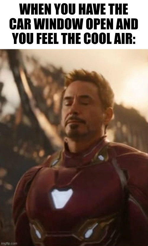 fr fr that's the best feeling in the world | WHEN YOU HAVE THE CAR WINDOW OPEN AND YOU FEEL THE COOL AIR: | image tagged in fun,marvel,tony stark | made w/ Imgflip meme maker
