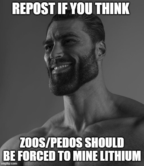 Giga Chad | REPOST IF YOU THINK; ZOOS/PEDOS SHOULD BE FORCED TO MINE LITHIUM | image tagged in giga chad | made w/ Imgflip meme maker