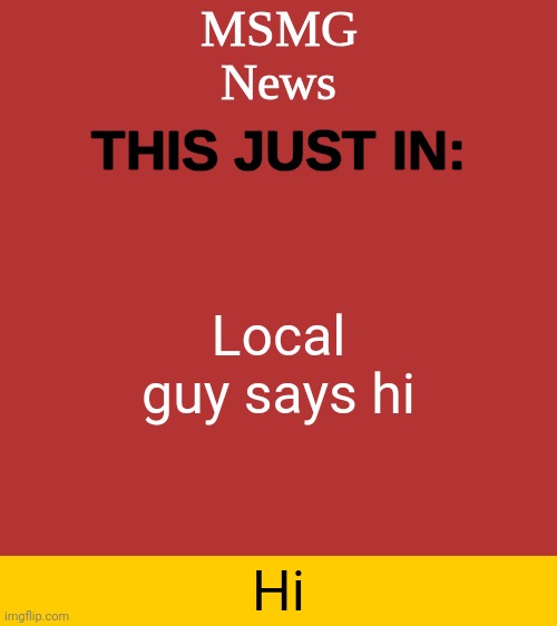 Hi | Local guy says hi; Hi | image tagged in msmg news temp,hi | made w/ Imgflip meme maker