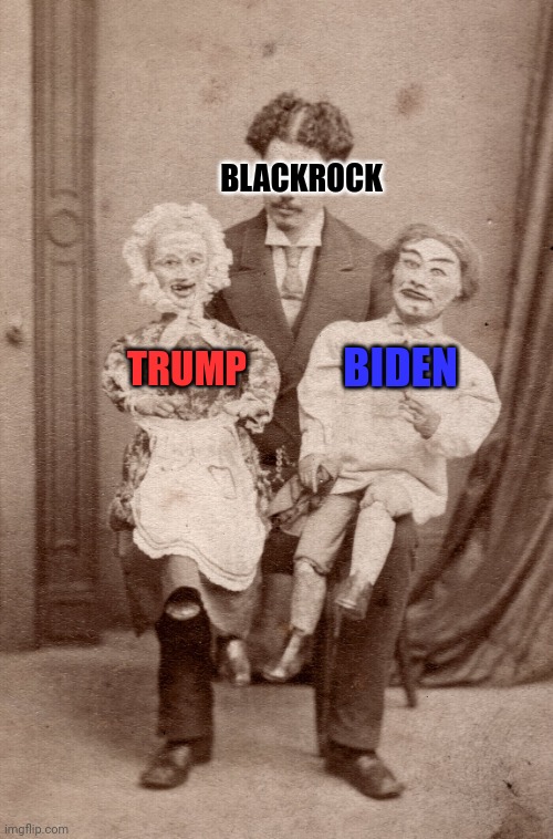 Funding both sides | BLACKROCK; BIDEN; TRUMP | image tagged in confirmation bias | made w/ Imgflip meme maker