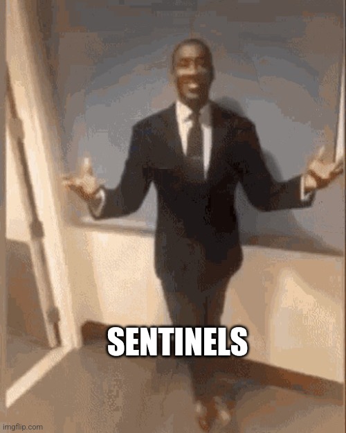 smiling black guy in suit | SENTINELS | image tagged in smiling black guy in suit | made w/ Imgflip meme maker