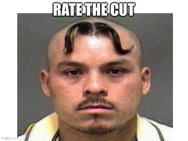RATE THE CUT | image tagged in hair,mustache | made w/ Imgflip meme maker