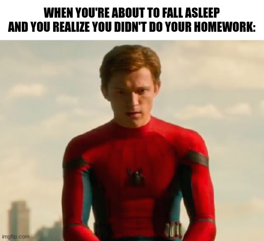 ah, crap | WHEN YOU'RE ABOUT TO FALL ASLEEP AND YOU REALIZE YOU DIDN'T DO YOUR HOMEWORK: | image tagged in spiderman,marvel,fun | made w/ Imgflip meme maker