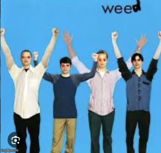 Weed | image tagged in weed | made w/ Imgflip meme maker