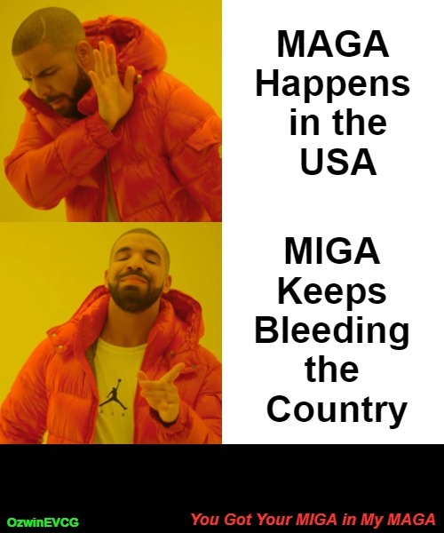You Got Your MIGA in My MAGA [NV] | image tagged in drake hotline bling,truth about,miga,israel lobby,maga,subversion | made w/ Imgflip meme maker
